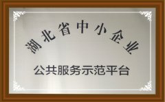湖北省中小企业公共示范平台